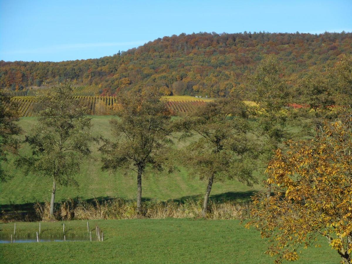 Pension Zur Traube 3 Sterne Oberschwarzach Exterior foto